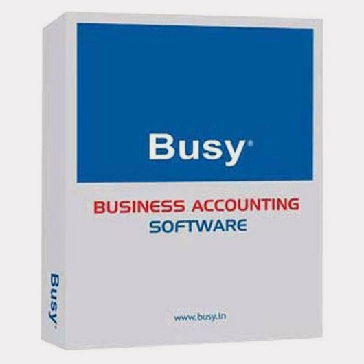 Software Busy
